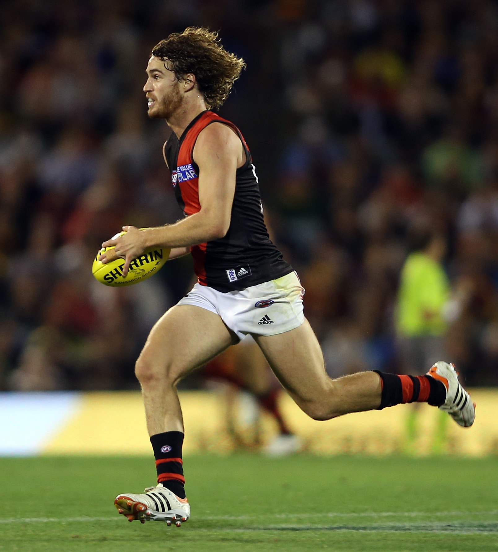 More to win than emotion: Hird - AFL.com.au 